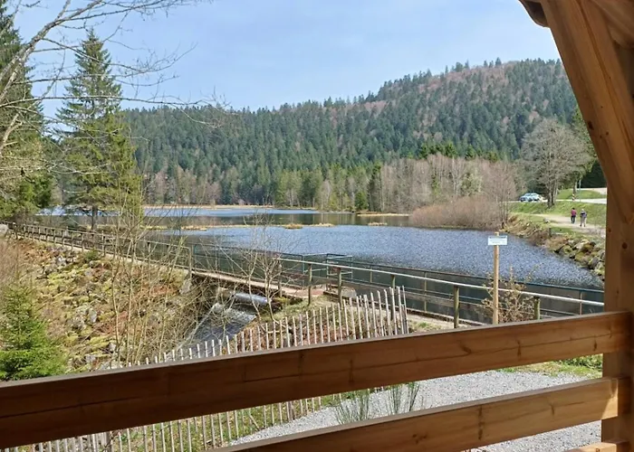 Apartment Entre Montagnes Et Lacs La Bresse